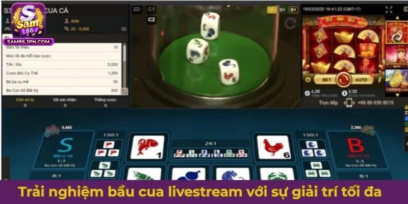 Trải nghiệm bầu cua livestream với sự giải trí tối đa