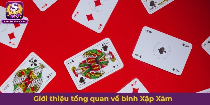 Giới thiệu tổng quan về binh Xập Xám