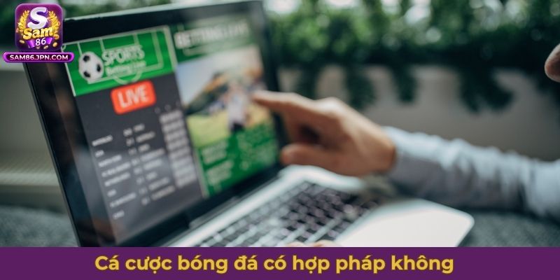 Cá cược bóng đá có hợp pháp không