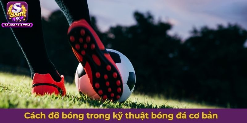 Cách đỡ bóng trong kỹ thuật bóng đá cơ bản