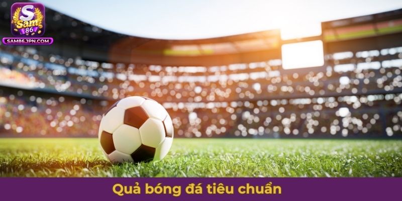 quả bóng đá tiêu chuẩn